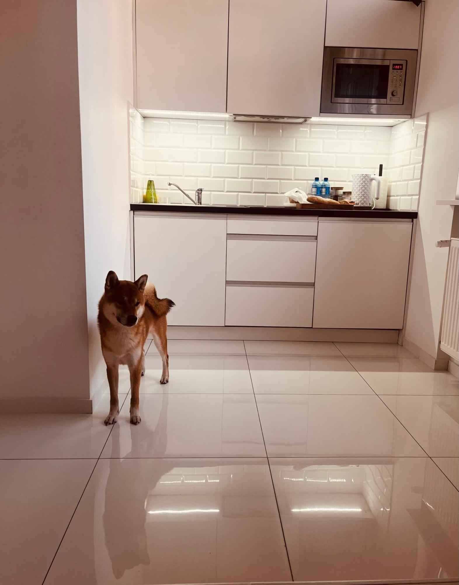 Apartament I Love Piotrkowska Z Wielkim Lustrem, Balkonem I Klimatyzacja 우치 외부 사진